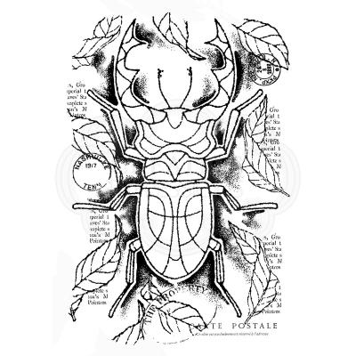 Creative Expressions Clear Stamp - Stag Beetle